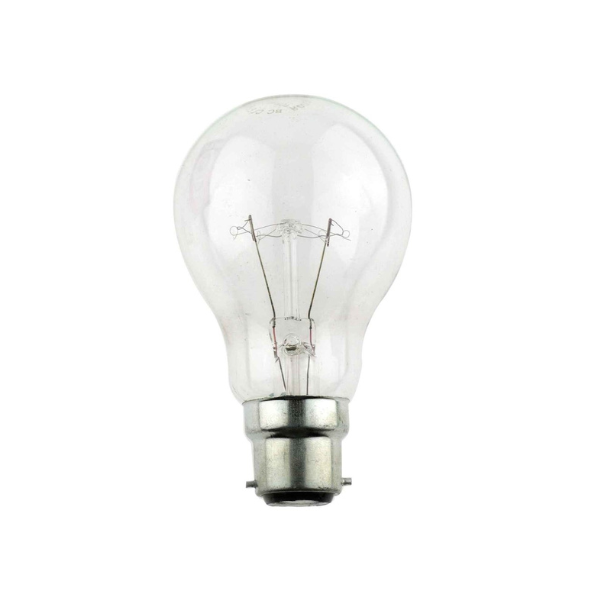 100 Watt Bulb